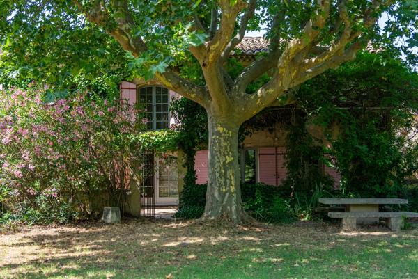 Taillades, Mas 8 Chambres -  395 m² à vendre