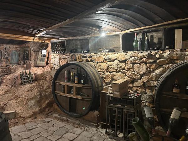 Flassans-sur-Issole (83340) MAISON 6 PIECES 200 M2 ENV. PISCINE + ANNEXE AMENAGEE