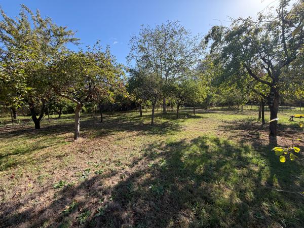 pavillon plain pied centre bourg