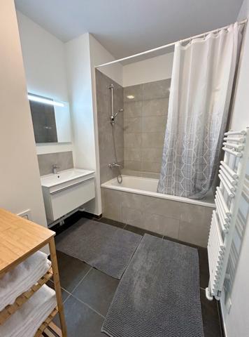 APPARTEMENT MEUBLE 1 CHAMBRE + PARKING