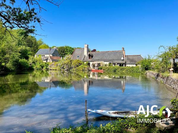 Savonnières (37510) Propriété avec gîte ou chambres d'hotes