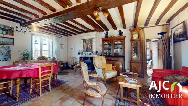 Savonnières (37510) Propriété avec gîte ou chambres d'hotes