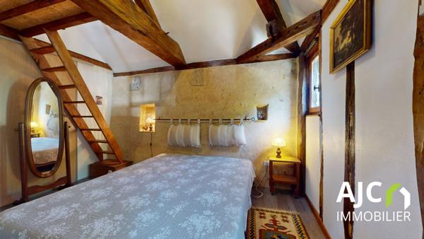 Savonnières (37510) Propriété avec gîte ou chambres d'hotes