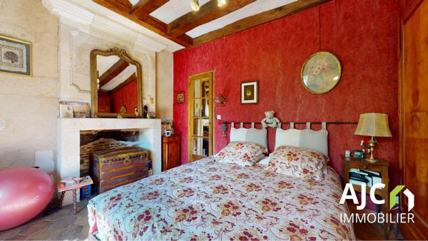 Savonnières (37510) Propriété avec gîte ou chambres d'hotes