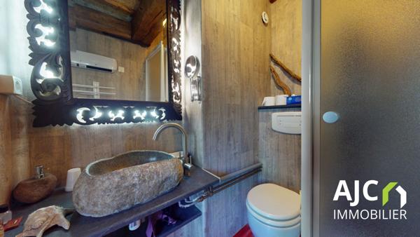 Savonnières (37510) Propriété avec gîte ou chambres d'hotes