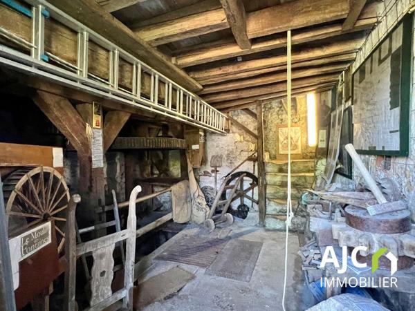 Savonnières (37510) Propriété avec gîte ou chambres d'hotes