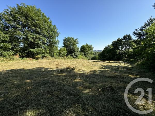 Terrain à vendre  2900 m2 LOUDES - 43