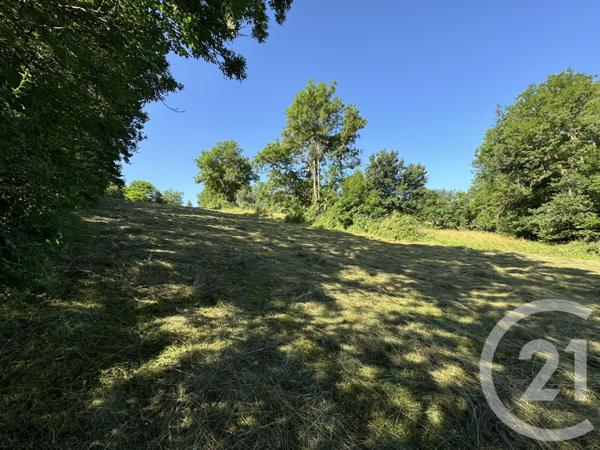 Terrain à vendre  2900 m2 LOUDES - 43