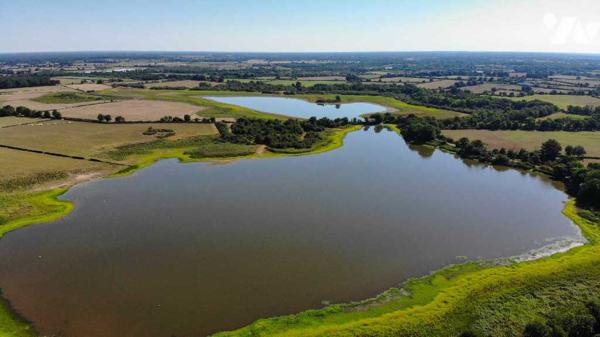 Domaine de 249 hectares – Manoir, étangs, bois et terres agricoles – LE BLANC (36300)