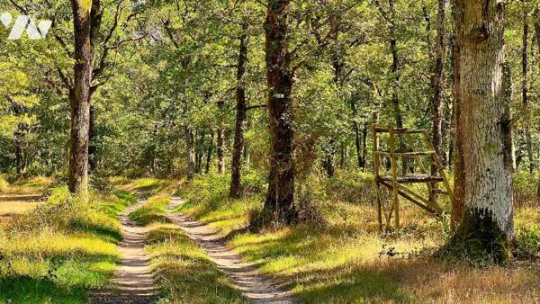 Domaine de 249 hectares – Manoir, étangs, bois et terres agricoles – LE BLANC (36300)