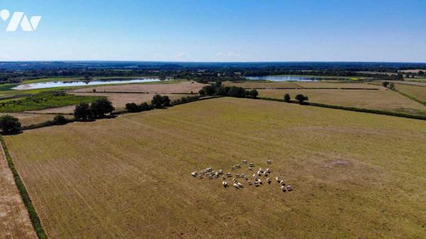 Domaine de 249 hectares – Manoir, étangs, bois et terres agricoles – LE BLANC (36300)