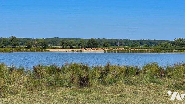 Domaine de 249 hectares – Manoir, étangs, bois et terres agricoles – LE BLANC (36300)