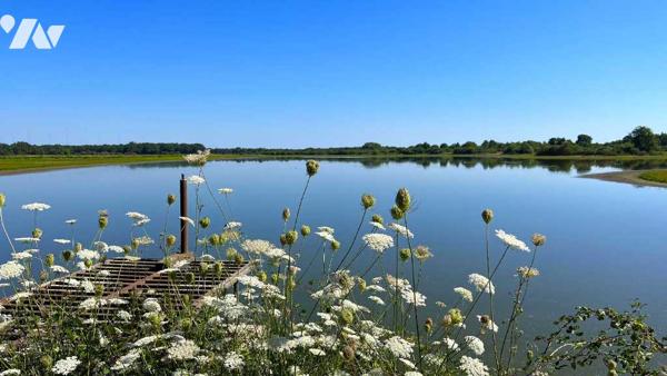 Domaine de 249 hectares – Manoir, étangs, bois et terres agricoles – LE BLANC (36300)