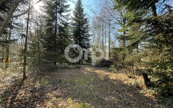 Maison à vendre    6 pièces •  Sylvains-les-Moulins