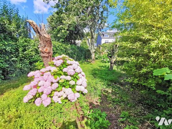 Maison en Pierre à Rénover à Proximité Immédiate du Port de Plaisance !