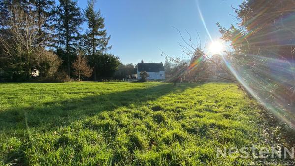 Terrain Camors 598 m2 - LOT A