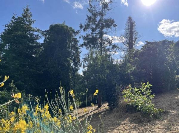 Maison à vendre |  Pont-de-Buis-lès-Quimerch |  3 pièces | 49 m²