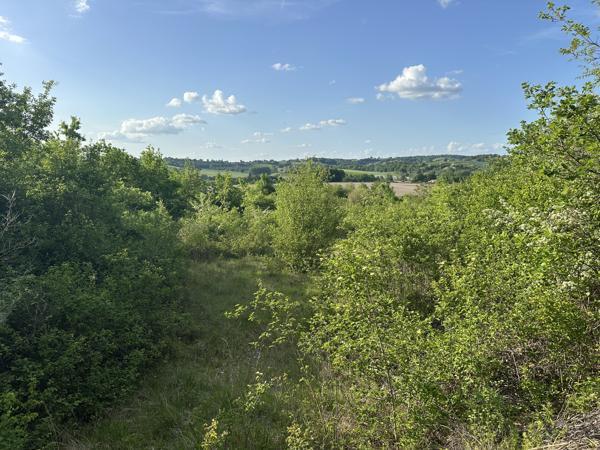 Terrain à vendre à Bertric-Burée (24320) - Dordogne