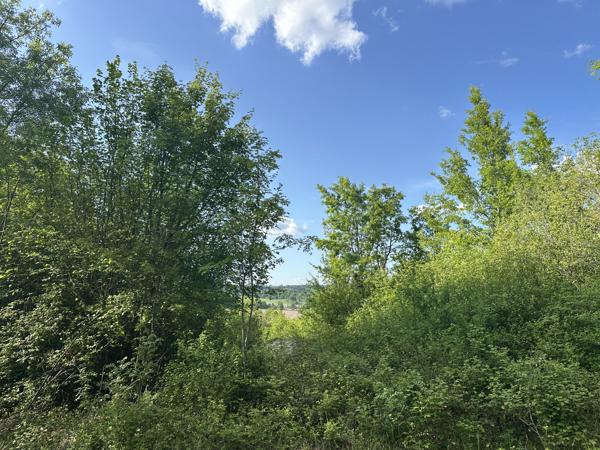 Terrain à vendre à Bertric-Burée (24320) - Dordogne