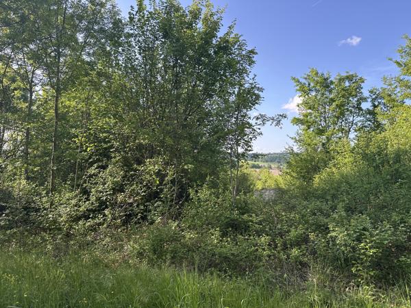 Terrain à vendre à Bertric-Burée (24320) - Dordogne