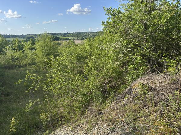 Terrain à vendre à Bertric-Burée (24320) - Dordogne
