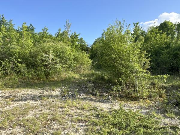 Terrain à vendre à Bertric-Burée (24320) - Dordogne