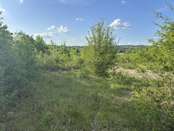 Terrain à vendre à Bertric-Burée (24320) - Dordogne