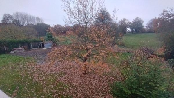 Pavillon de 62,80m² sur sous-sol