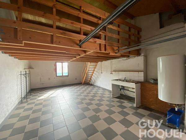 Ensemble immobilier de qualité. Deux maisons indépendantes avec garage, chalet et grands terrains à 5 minutes de Salies-de-Béarn
