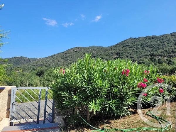 Maison à vendre  5 pièces - 163,35 m 2   CERET  - 66