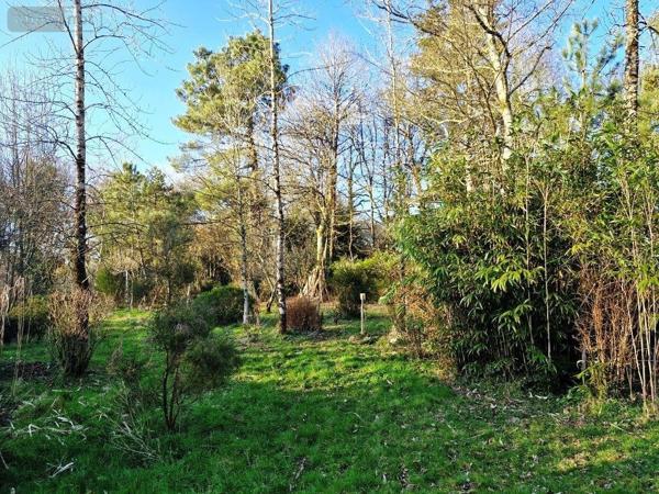 Maison à vendre à Lescouët-Gouarec dans les Côtes-d'Armor (22570), ref : 56075-2333