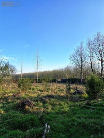 Maison à vendre à Lescouët-Gouarec dans les Côtes-d'Armor (22570), ref : 56075-2333