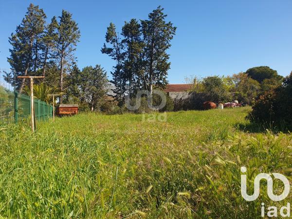 Terrain à vendre 611 m² Canet