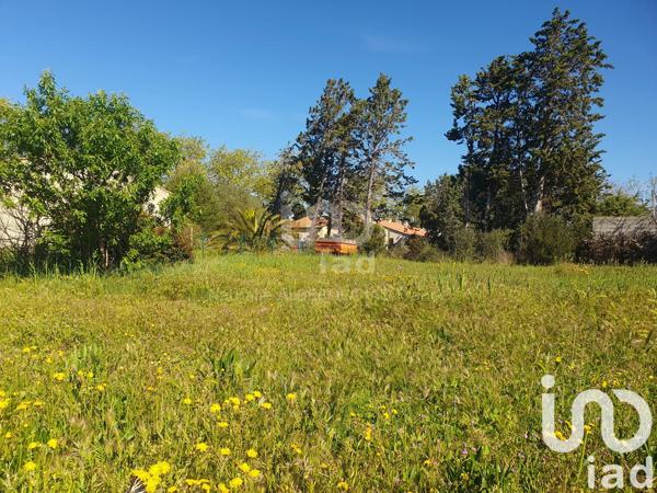 Terrain à vendre 611 m² Canet