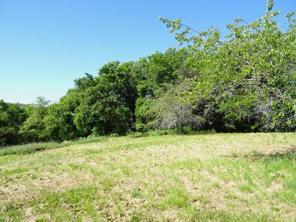 Landes 40250 Saint-Aubin, propriété 15ha environ