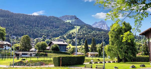 Chalet à vendre