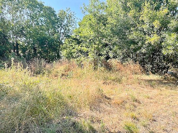 Terrain non viabilisé proximité de Ferrieres 615 m2