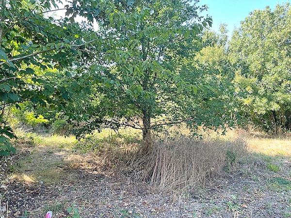 Terrain non viabilisé proximité de Ferrieres 615 m2