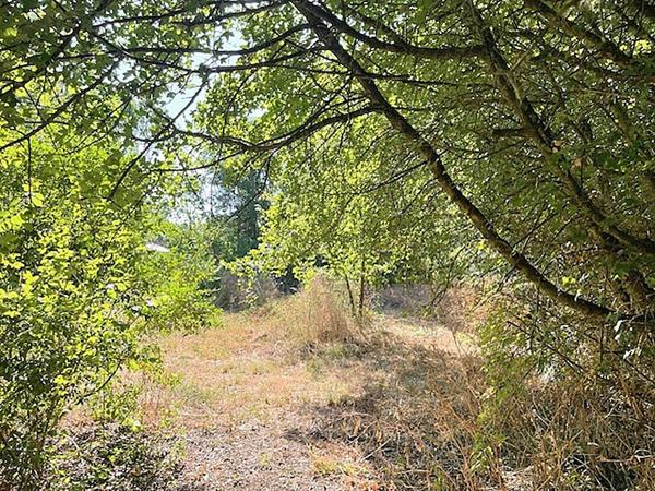 Terrain non viabilisé proximité de Ferrieres 615 m2