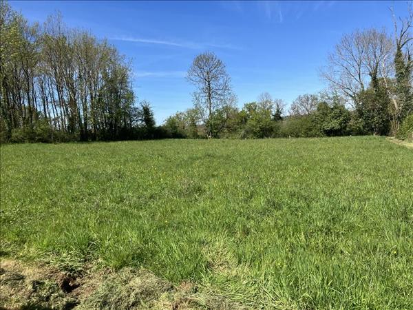 Terrain à vendre |  Saillat-sur-Vienne |  2316 m²