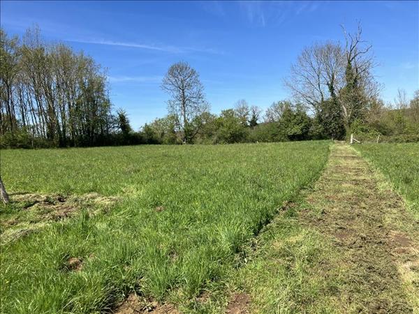 Terrain à vendre |  Saillat-sur-Vienne |  2316 m²