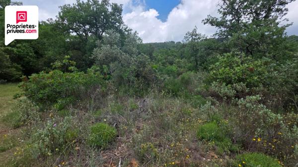 Terrain non constructible de 2500 m2 en zone Naturelle