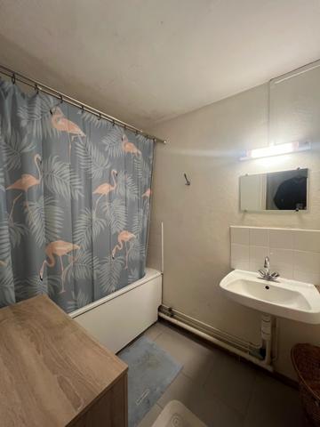 Appartement à vendre 2 pièces PLATEAU CAILLOUX (974)