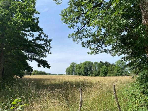 Terrain à Batir à vendre à Mauriac dans le Cantal (15200), ref : 15060/889