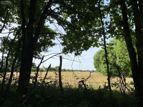 Terrain à Batir à vendre à Mauriac dans le Cantal (15200), ref : 15060/889