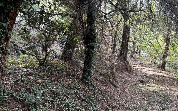 Terrain à vendre    Les Adrets-de-l'Estérel