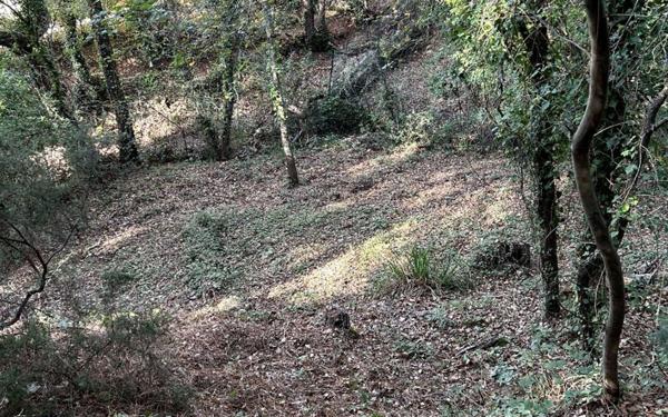 Terrain à vendre    Les Adrets-de-l'Estérel