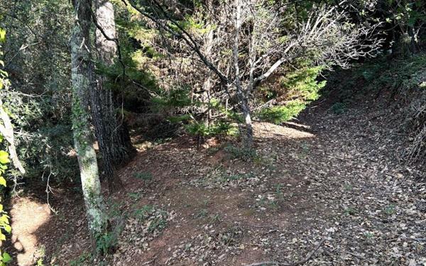 Terrain à vendre    Les Adrets-de-l'Estérel