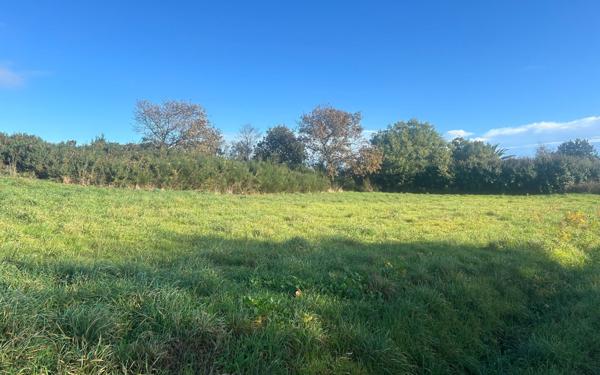 Terrain à vendre    Pleumeur-Bodou