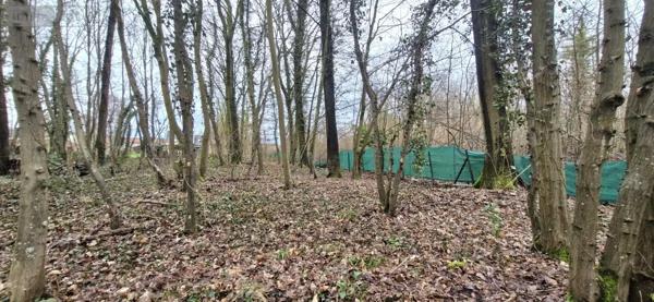 Achat - Terrain à bâtir Ribécourt-Dreslincourt 60170 1346 m 2